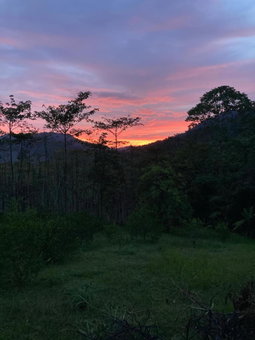 Khao Sok Hill Top Resort, Khao Sok, Thailand