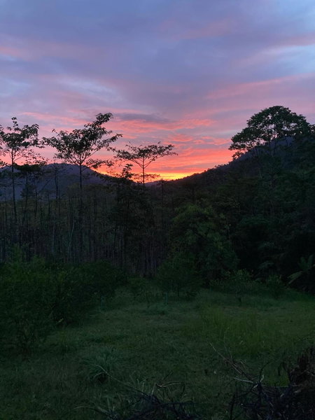 Khao Sok Hill Top Resort, Khao Sok, Thailand