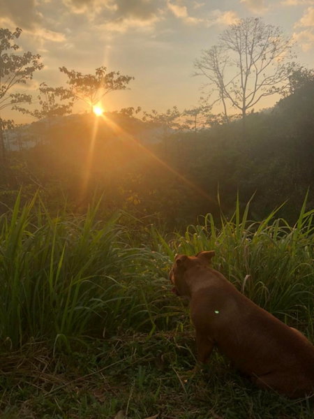 Khao Sok Hill Top Resort, Khao Sok, Thailand