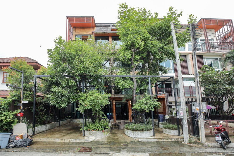 Arbor's house and hostel, Chiang Mai, Thailand