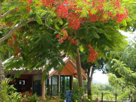 Faasai Resort & Spa, Ban Nong Nam Khao, Thailand