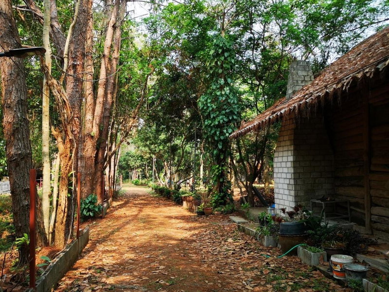 Sonseesaed Farm at Phurua, Phu Rua, Thailand