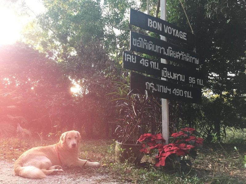 Sonseesaed Farm at Phurua, Phu Rua, Thailand
