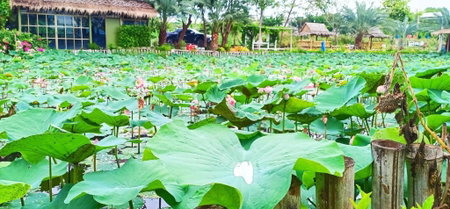Ban Ing Suan, Samutprakarn, Thailand