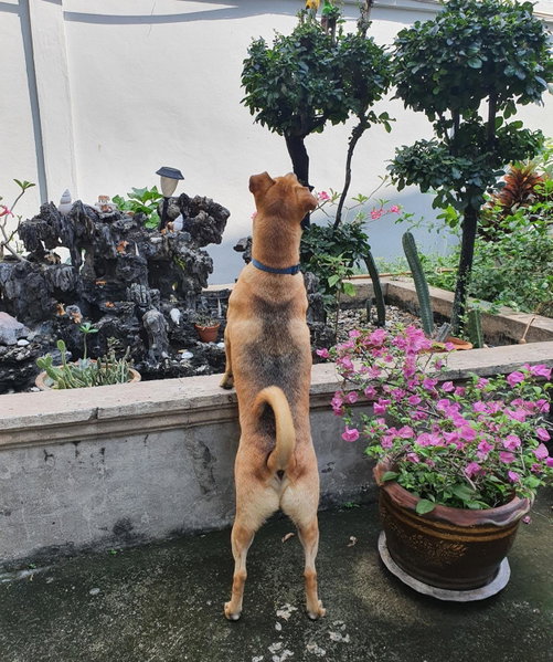KINN Stay50 Bangkok, Bangkok Yai, Thailand