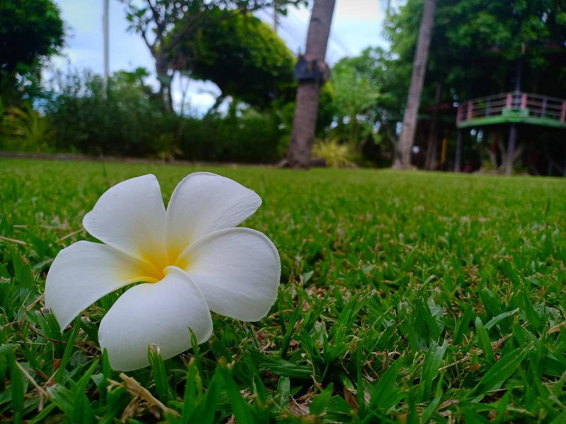 Magmai HomestayTak, Tak, Thailand