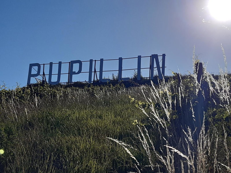 LES PRUNELLES Chambres d'hôtes, Pupillin, France