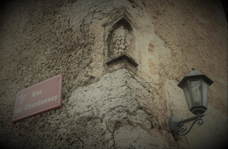 LES PRUNELLES Chambres d'hôtes, Pupillin, France