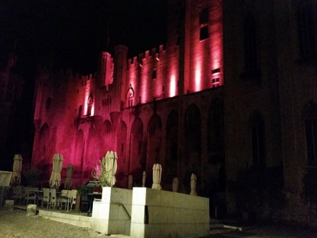 Hôtel du Palais des Papes, Avignon, France