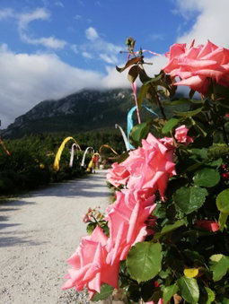 Hotel Restaurant Rose des Pyrénées, Belvianes-et-Cavirac, France