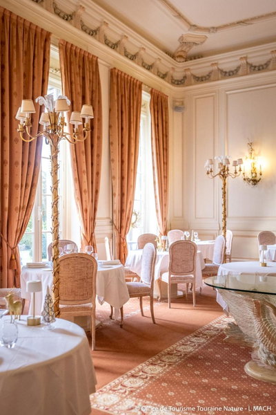 Chateau De Rochecotte, Saint-Patrice, France