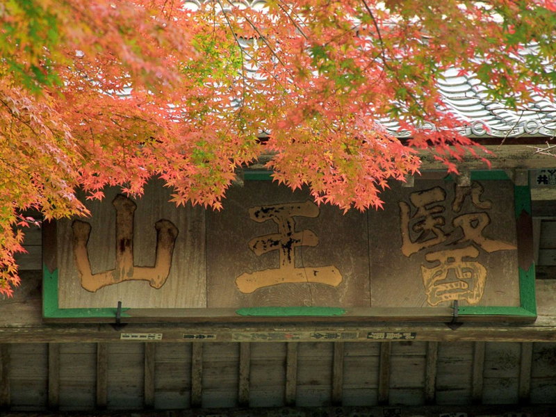 Mt Ichibata Cottage, Izumo, Japan