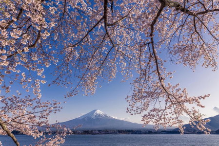 Villas Fuji ヴィラス富士, Fujikawaguchiko, Japan