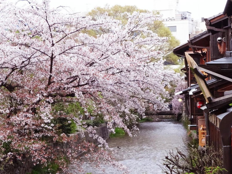 Kyomachiya Ebisu Private Luxury Townhouse in Higashiyama, Kyoto, Japan