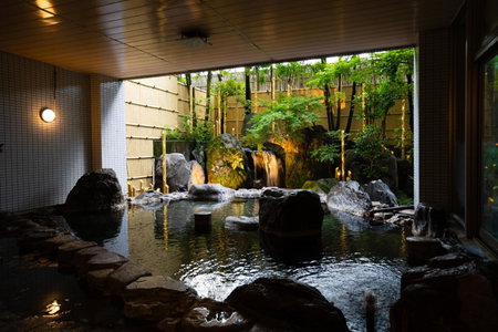 Tsukasa Royal Hotel, Tamana, Japan