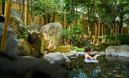 Tsukasa Royal Hotel, Tamana, Japan
