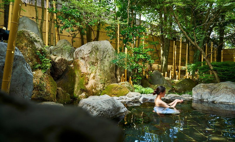 Tsukasa Royal Hotel, Tamana, Japan