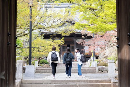 Konastay Izu-Nagaoka - Hostel, Izunokuni, Japan
