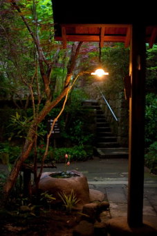 Hatago Kayausagi, Hita, Japan