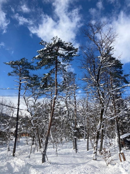 Seventh Heaven Hakuba, Hakuba, Japan
