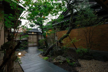 willow., Toyooka, Japan
