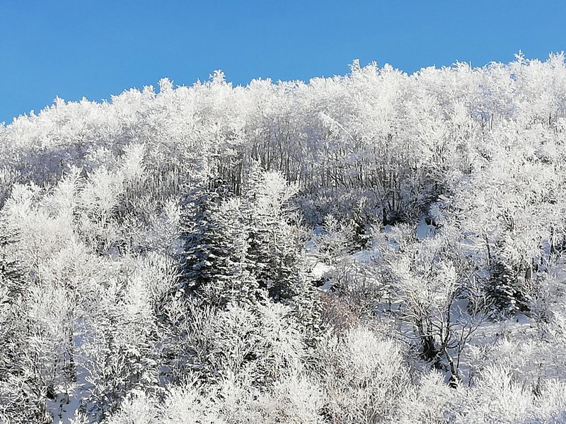Ryounkaku, Kami-furano, Japan