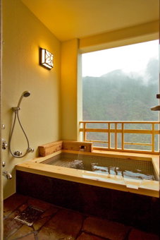 Iya Onsen, Miyoshi, Japan