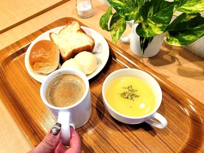 Hotel Town Center, Kochi, Japan