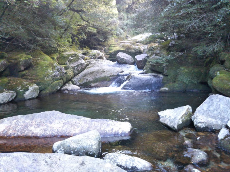 Cottage Yakusugi House, Yakushima, Japan