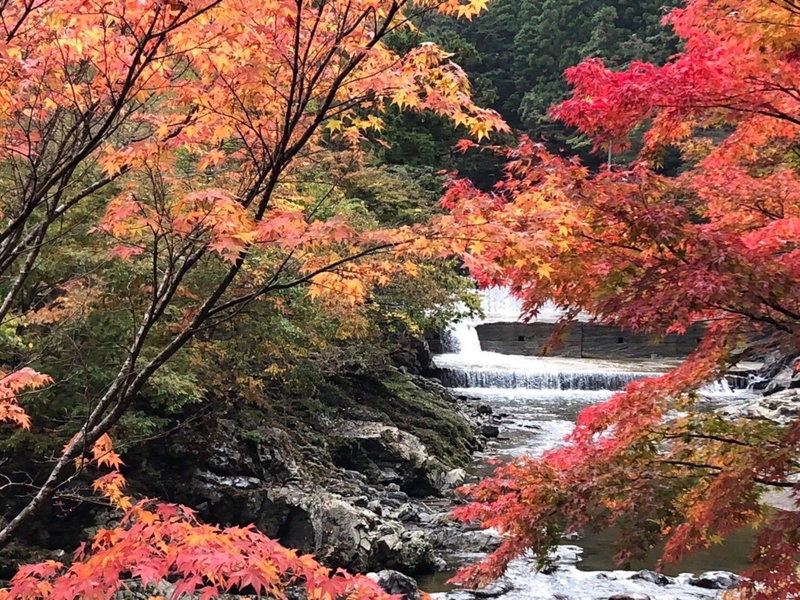 Minshuku Kawarabi-so, Nosegawa, Japan
