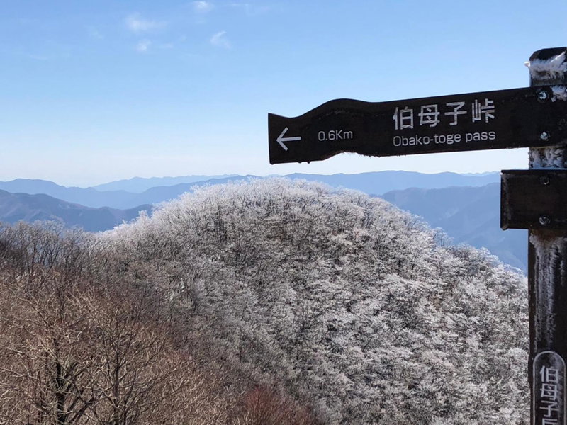 Minshuku Kawarabi-so, Nosegawa, Japan