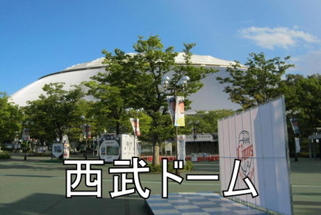 Hotel K Village, Tokorozawa, Japan