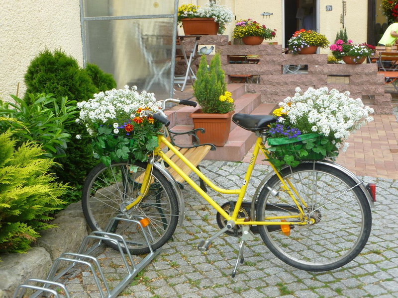 Hotel & Gasthaus Forelle, Thale, Germany