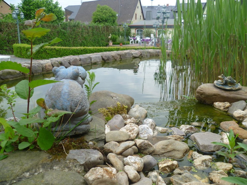 Pension-Elfi, Maring-Noviand, Germany