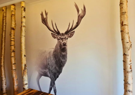 Hotel Garni Harzresidenz, Thale, Germany