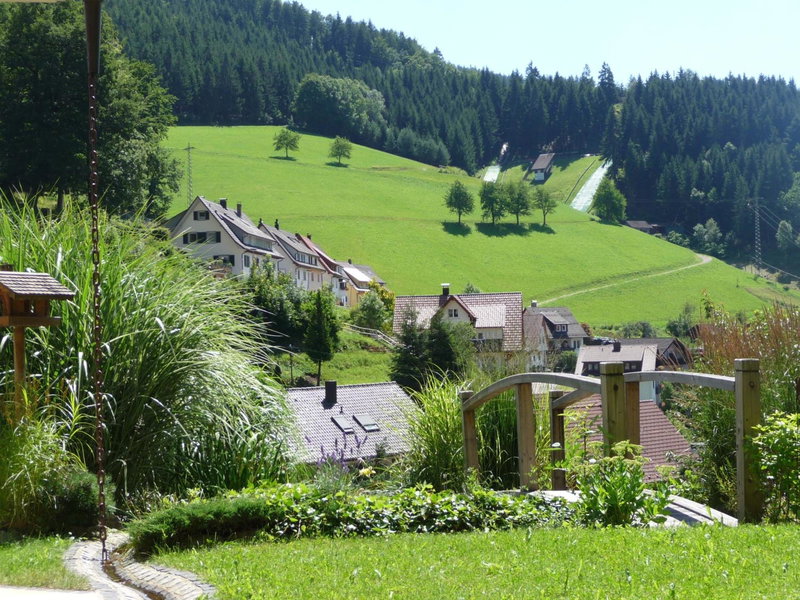 Flair Hotel Adlerbad, Bad Peterstal, Germany