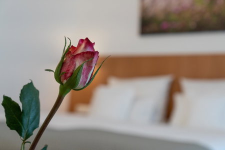 Hotel Elysee, Seligenstadt, Germany