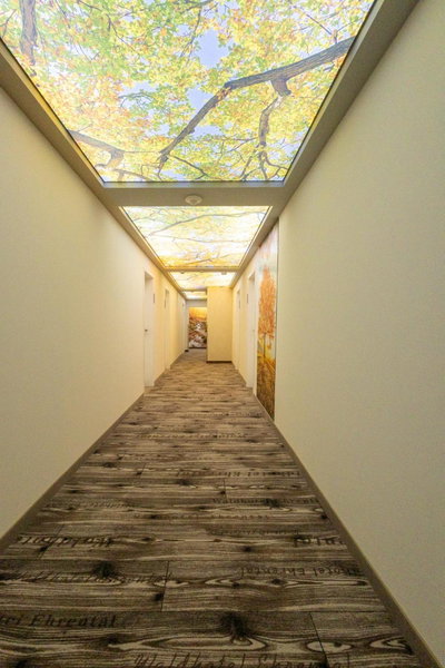 Waldhotel Ehrental, Schmalkalden, Germany
