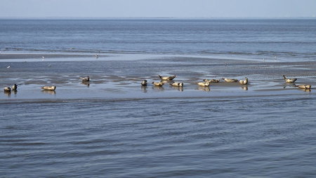 Hotel Deichgraf, Cuxhaven, Germany
