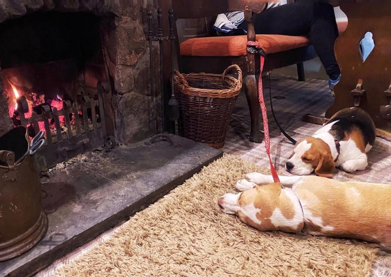 Bower House Inn, Eskdale, United Kingdom