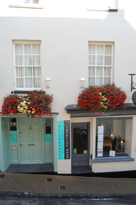 The Olive Branch, Ilfracombe, United Kingdom