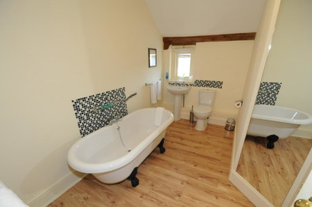 The Olive Branch, Ilfracombe, United Kingdom