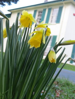 Elm Grove Country House, Tenby, United Kingdom