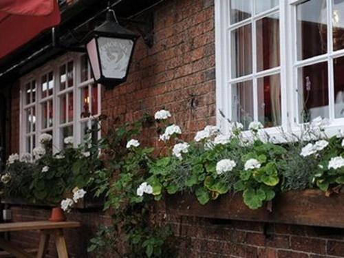 The Bull On The Green, Newick, United Kingdom