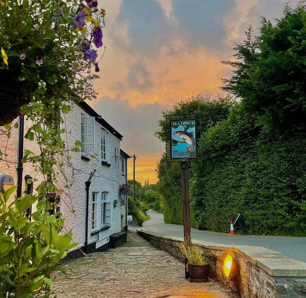 The Sea Trout Inn, Totnes, United Kingdom