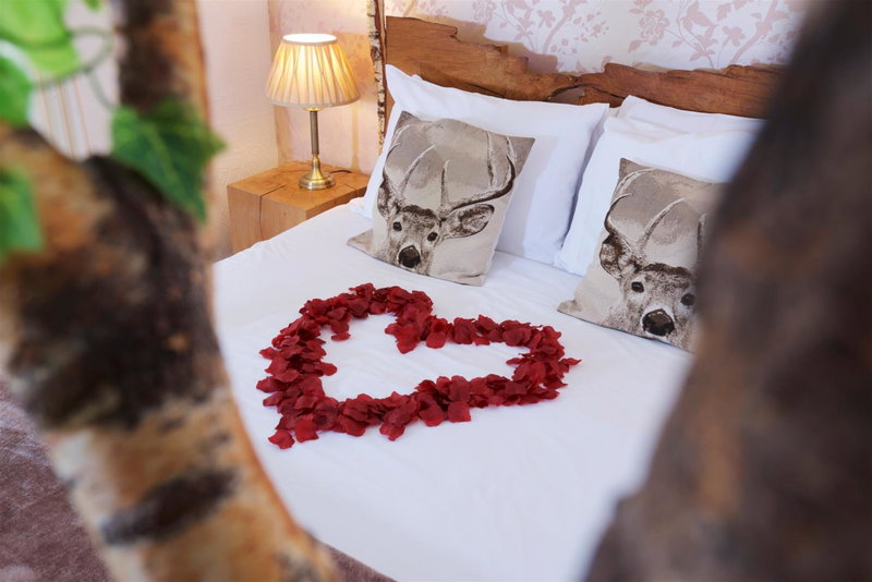 Cottage Lodge Hotel, Brockenhurst, United Kingdom