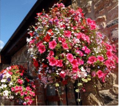 New Overlander Inn, Tenby, United Kingdom