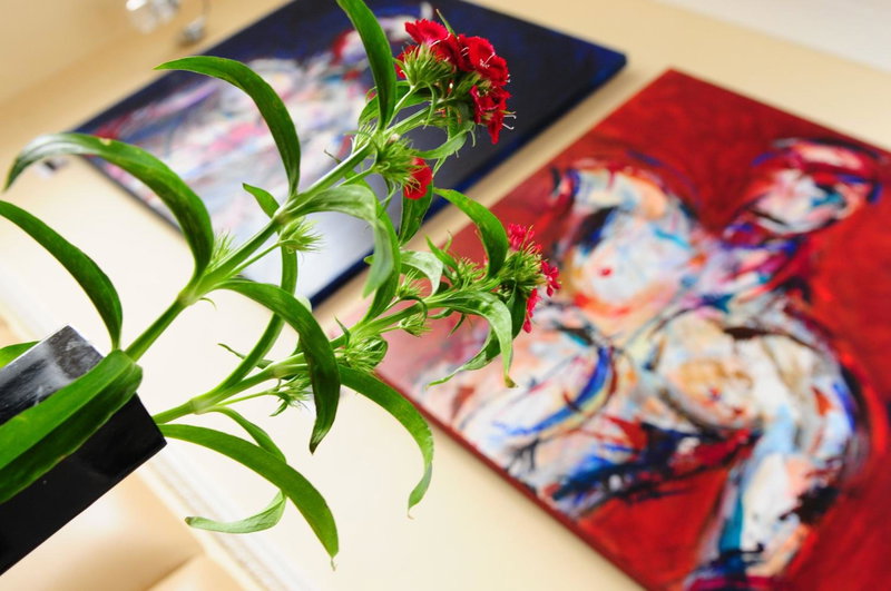 New Steine Hotel - B&B, Brighton & Hove, United Kingdom