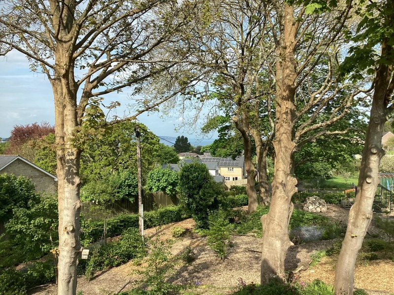 Martlets B&B, Shanklin, United Kingdom