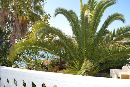 Jacaranda Apartments & Studios, Es Cana, Spain